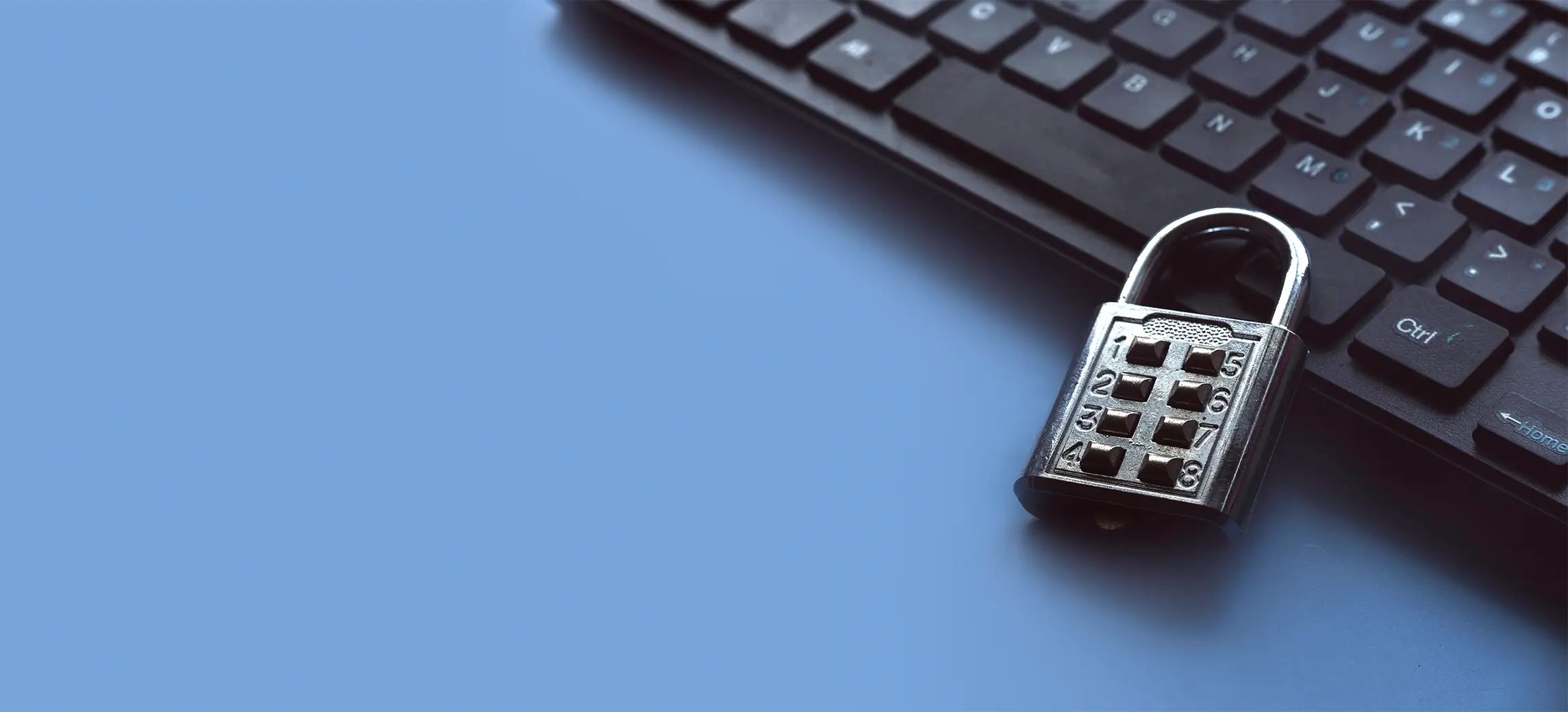 DDG is here | Website operators beware | We'll help with customisations!